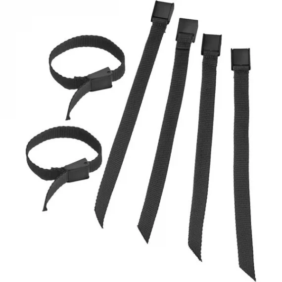 aecamp-1862325
