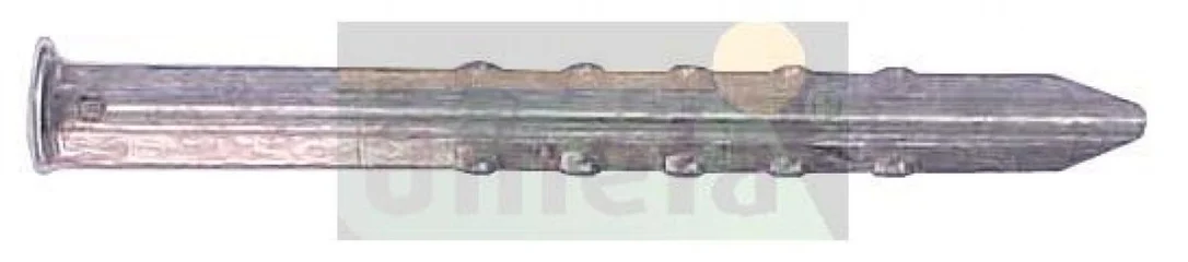 thecampingstore-1901090
